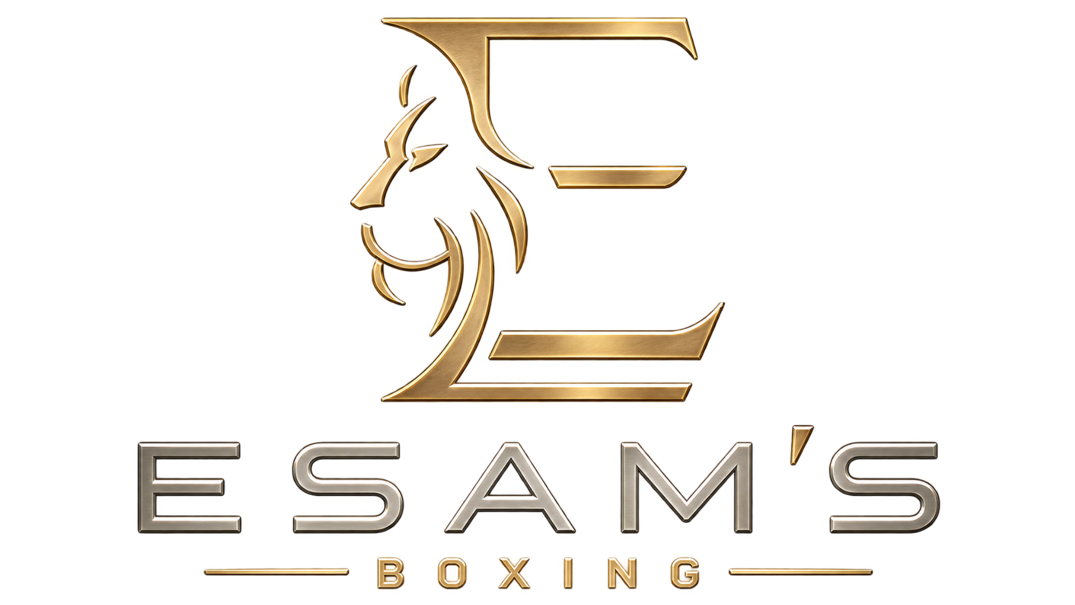 Esam's Boxing
